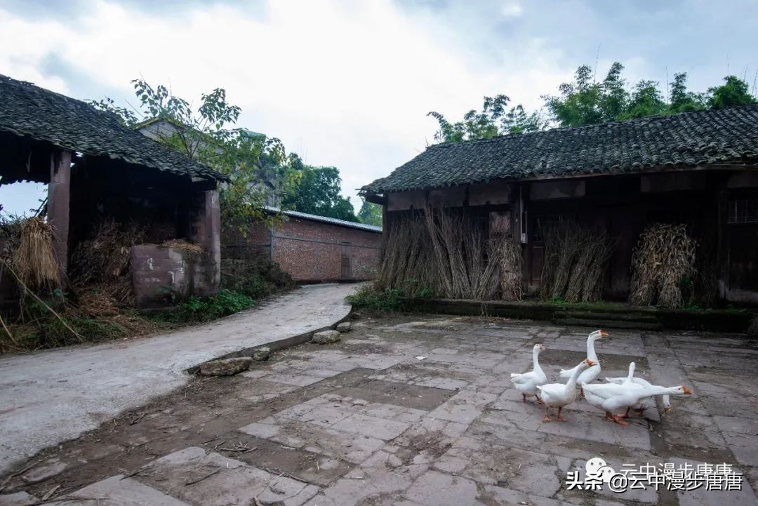 行走的风景岳池,行走的“风景”
