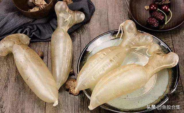 蜘蛛胶和什么鱼胶口感相似,花胶蜘蛛胶是什么鱼的胶