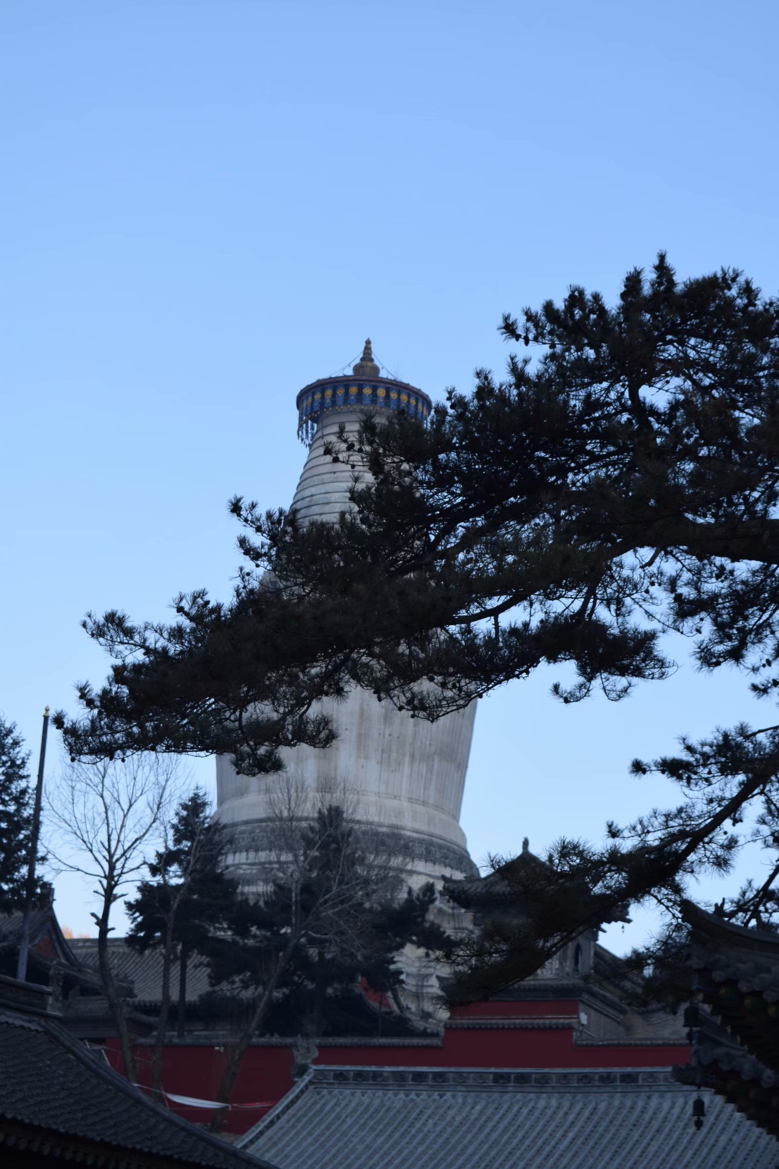 朝拜佛教圣地丨五台山有感