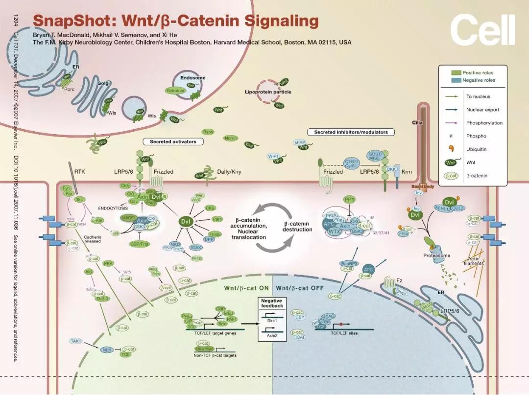 硬货的解析,硬货必买的10种