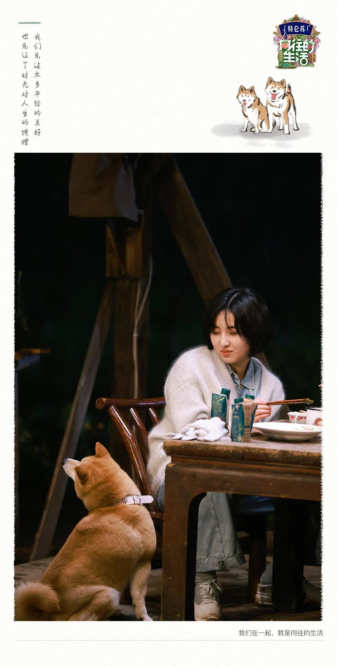 向往的生活1-6季文案,向往的生活一屋两人三餐四季文案