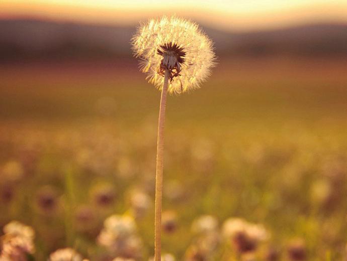 跟双子不对付的星座,跟双子座只暧昧不谈恋爱会怎么样
