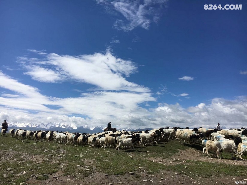 北疆骑行最佳路线一周,骑行伊犁独库公路详细攻略