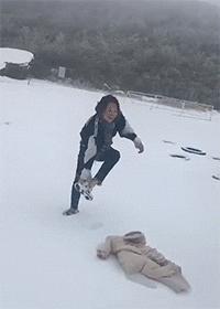 搞笑动图gif熊猫,搞笑动图gif微信表情包