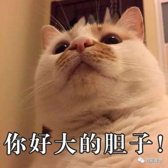 医美套路大揭秘,医美面膜怎样分辨真假