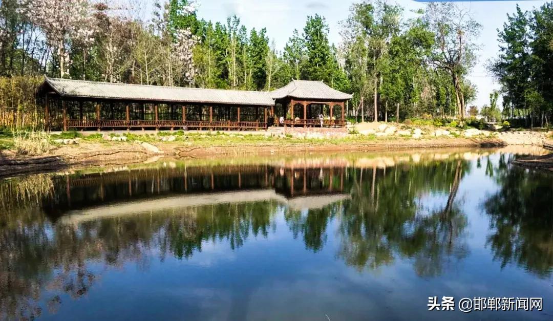 一带两抓三提升！2021年肥乡265个村要这样干