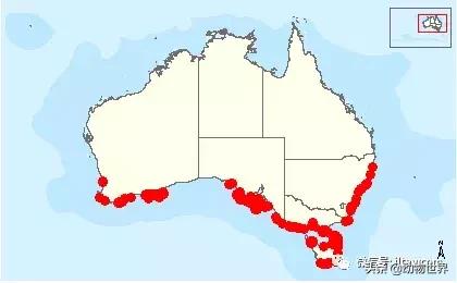 企鹅没有毛还能生活在北极,企鹅没有冰能生活吗