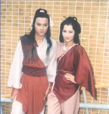 电视剧刘德华版魔域桃源主题曲,赵雅芝刘德华演的电视剧魔域桃源