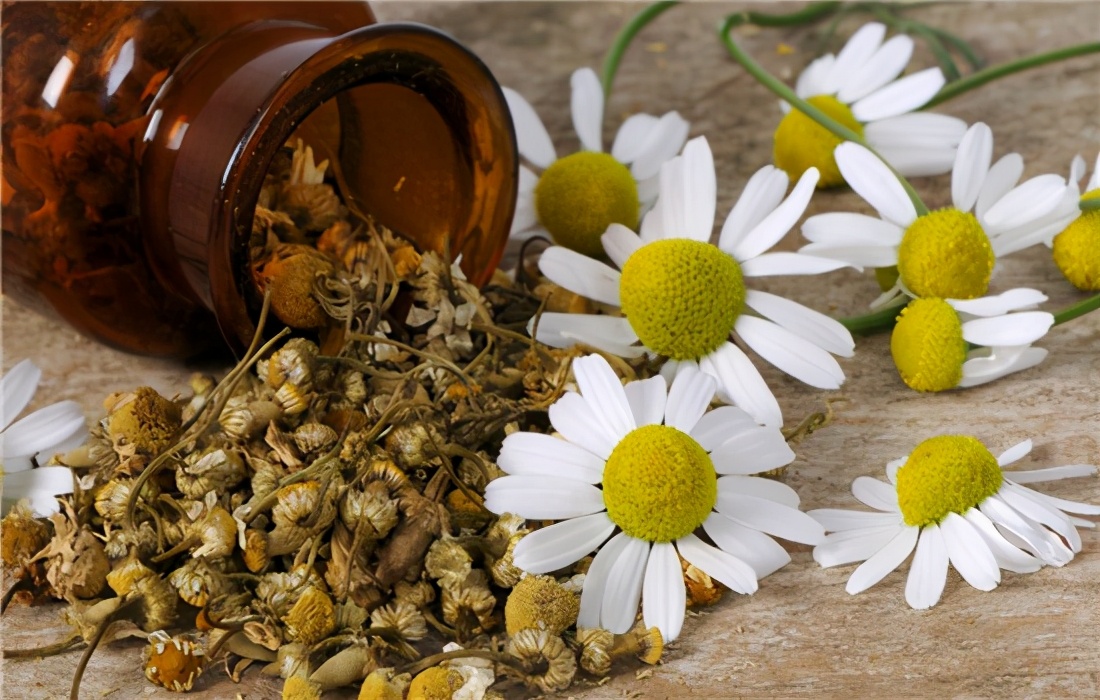 茜施妃雅精华油评测,茜施妃雅精华油怎样做面膜