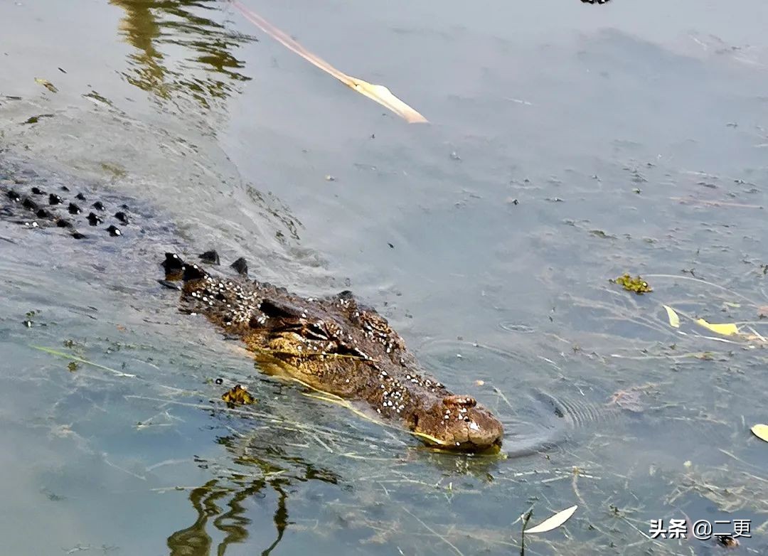 他35岁裸辞，搭顺风船环游世界，网友：还可以这么玩？