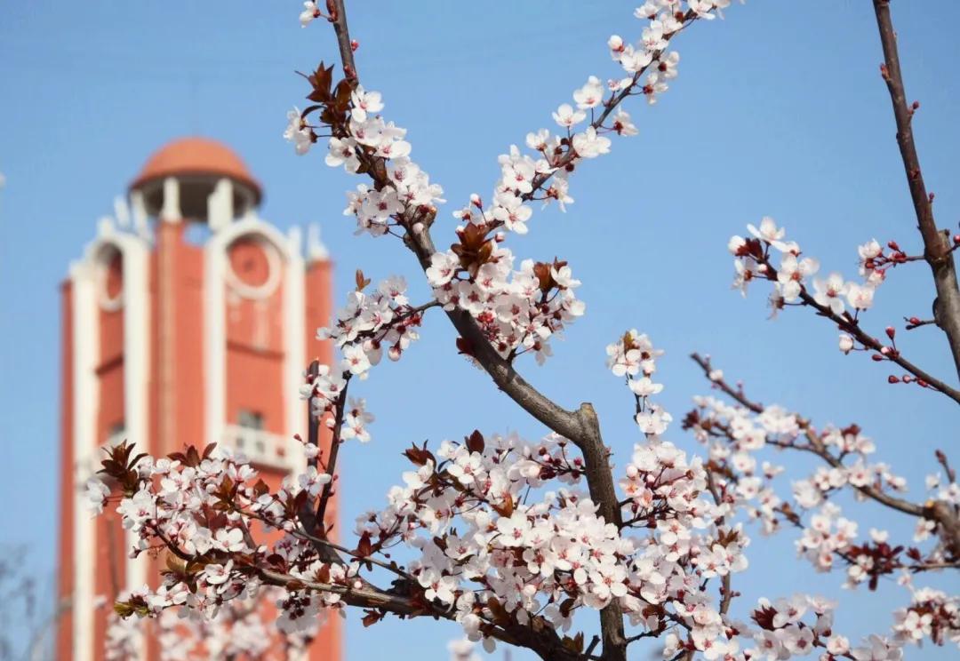 潍坊理工学院值得去吗,点评潍坊理工学院