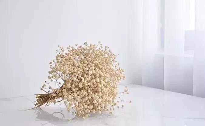 8种能做干花的鲜花,男朋友送的花就这么做