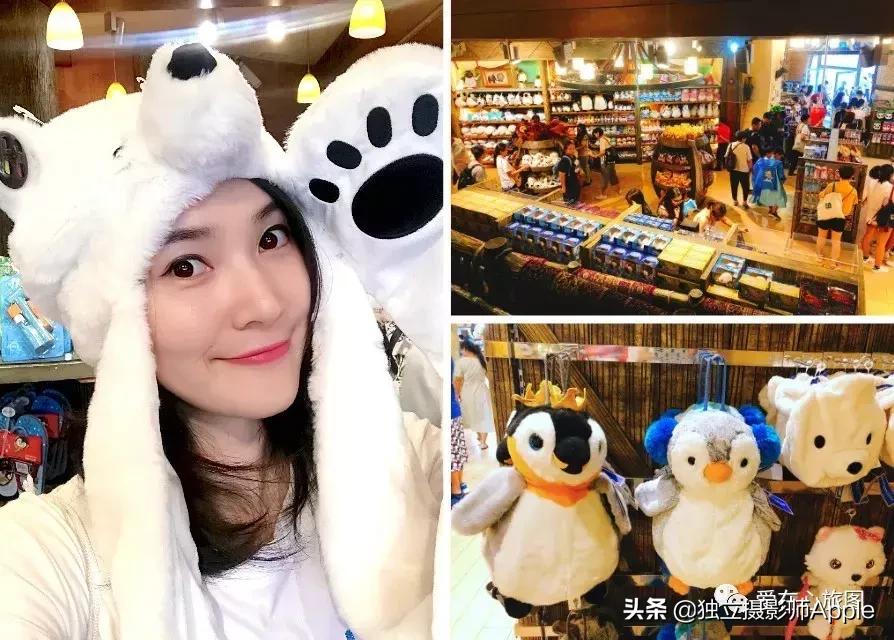 香港海洋公园自由行游玩攻略,香港旅游攻略香港海洋公园