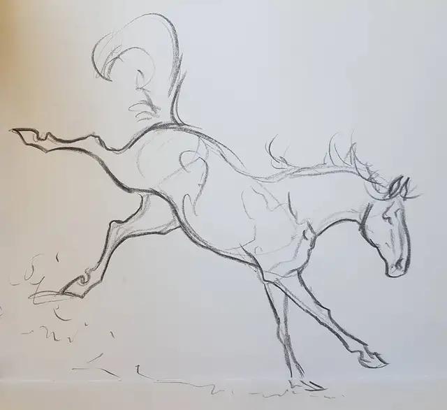 马怎么画简单图画,马怎么画更真实
