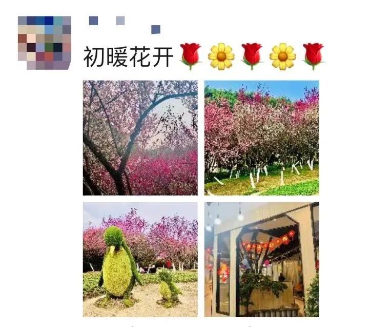 成都春游好去处周末 (成都周边周末春游推荐)