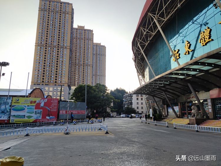 绿树成荫林荫小道,绿树成荫的小路视频