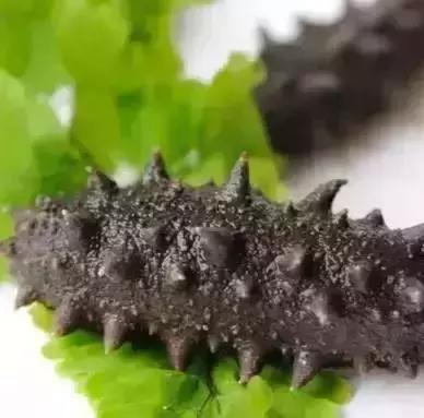 青岛十大海鲜干货特产,青岛西海岸特产推荐