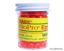 钓三文鱼视频野钓,三文鱼夏季淡水钓法