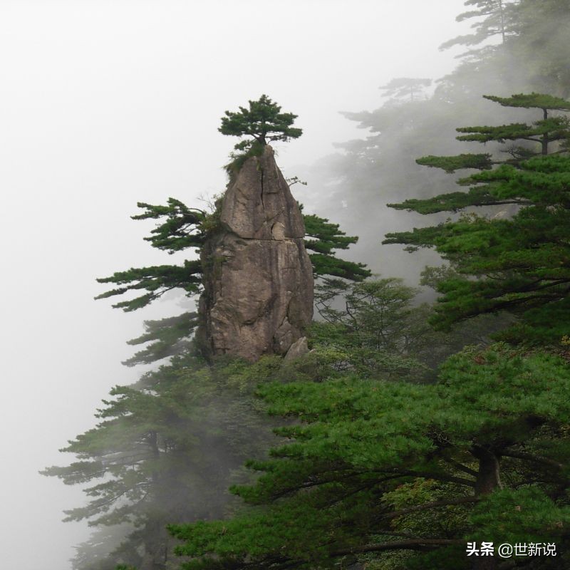 云雾缭绕的黄山真的很美,三上黄山