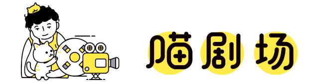 最可怕的5种猫,盘点很可怕的几种猫