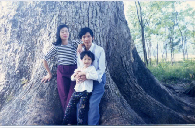 千年的古樟,亲历千年古樟重生