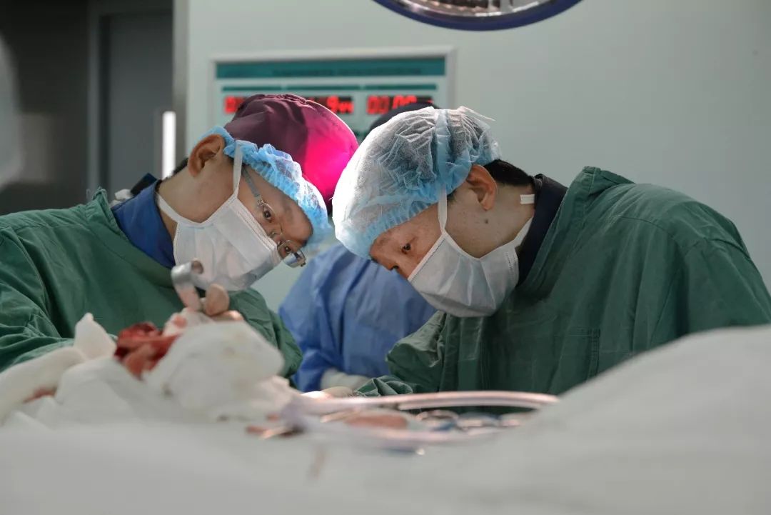 上海市第十人民医院骨科蔡新宇,十院骨科主任蔡新宇