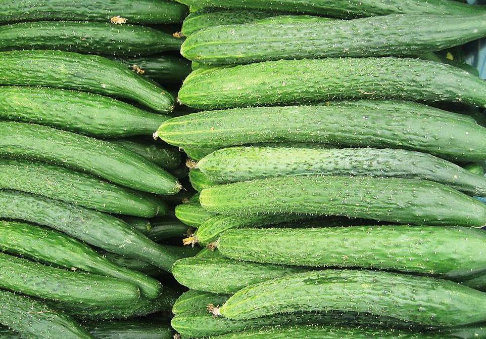 腌黄瓜太酸了怎么补救,腌黄瓜不入味儿