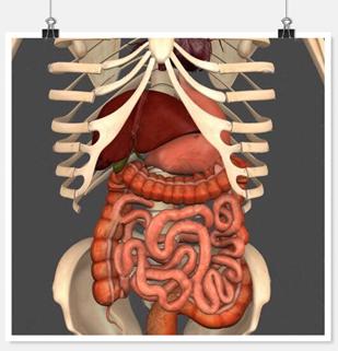 您真的了解糖尿病吗,胃痛的科普小知识