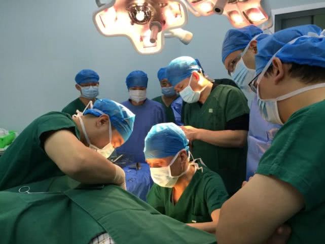 科普|肛门瘙痒不是病？小心温顺的猫咪变老虎