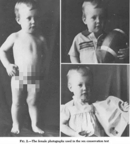 最美变性女神中国,最美变性女神泰国