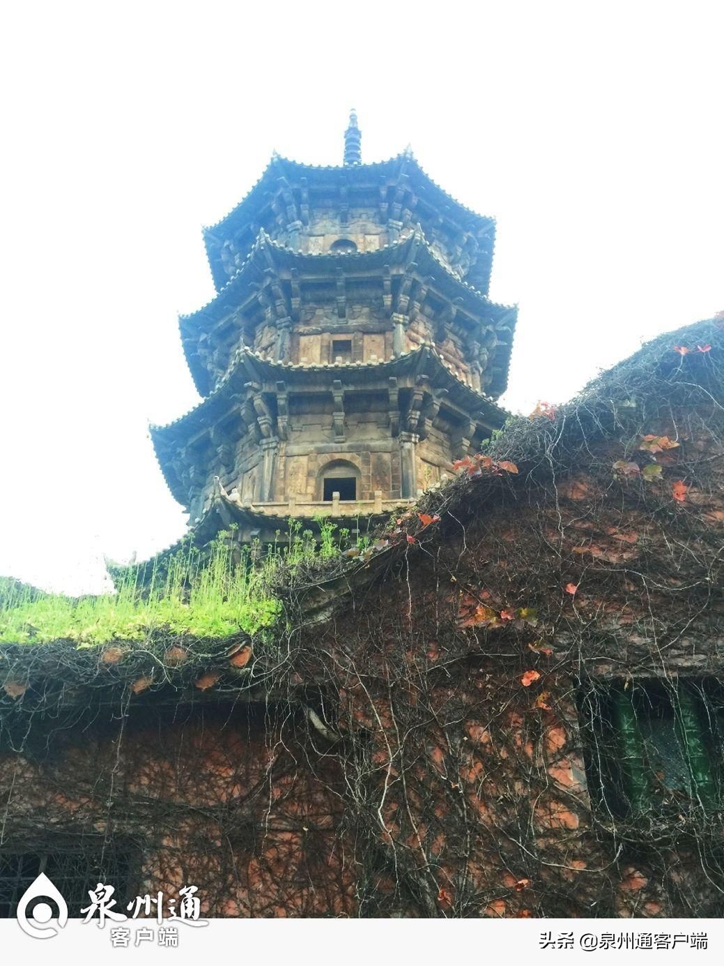 福建泉州女孩19岁,泉州76年出生的女性抖音