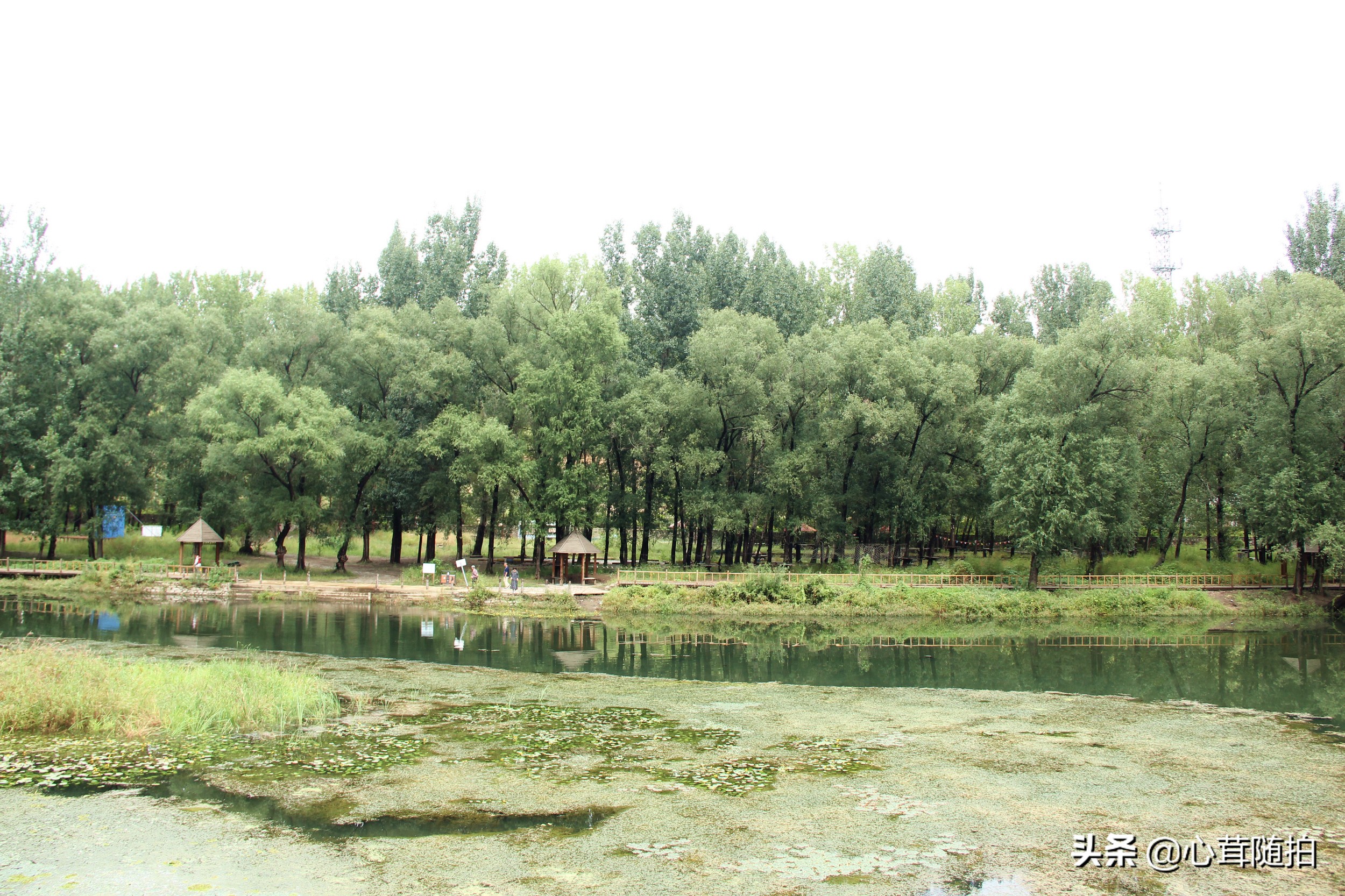 自驾白河湾,白河湾自然风景区自驾