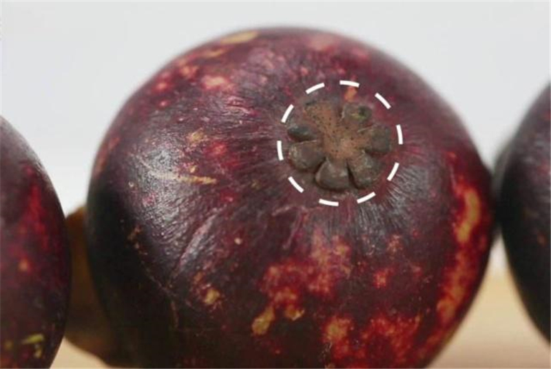 山竹是买大果还是小果好,山竹怎么挑又大又甜没有烂的