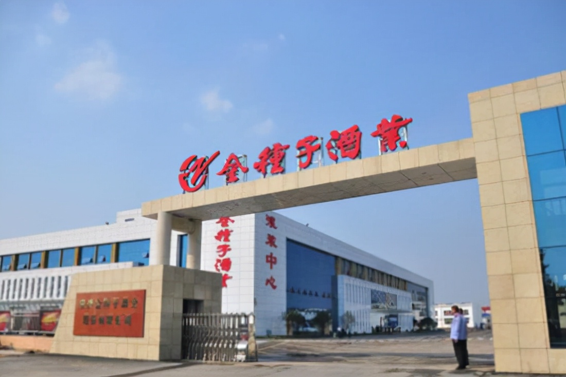 金种子酒最近怎么了,金种子酒发展遇到什么困难