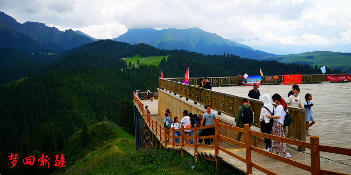 梦回新疆梦回拉萨,梦回伊宁草原视频