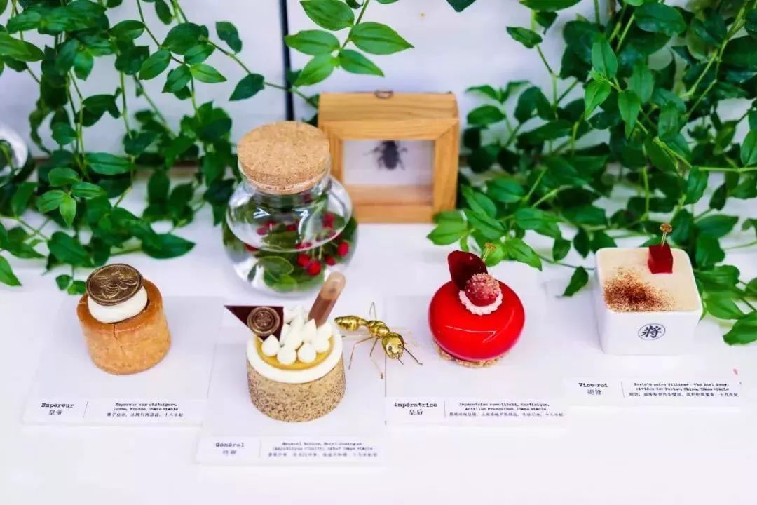 北京坊近期活动,北京坊活动