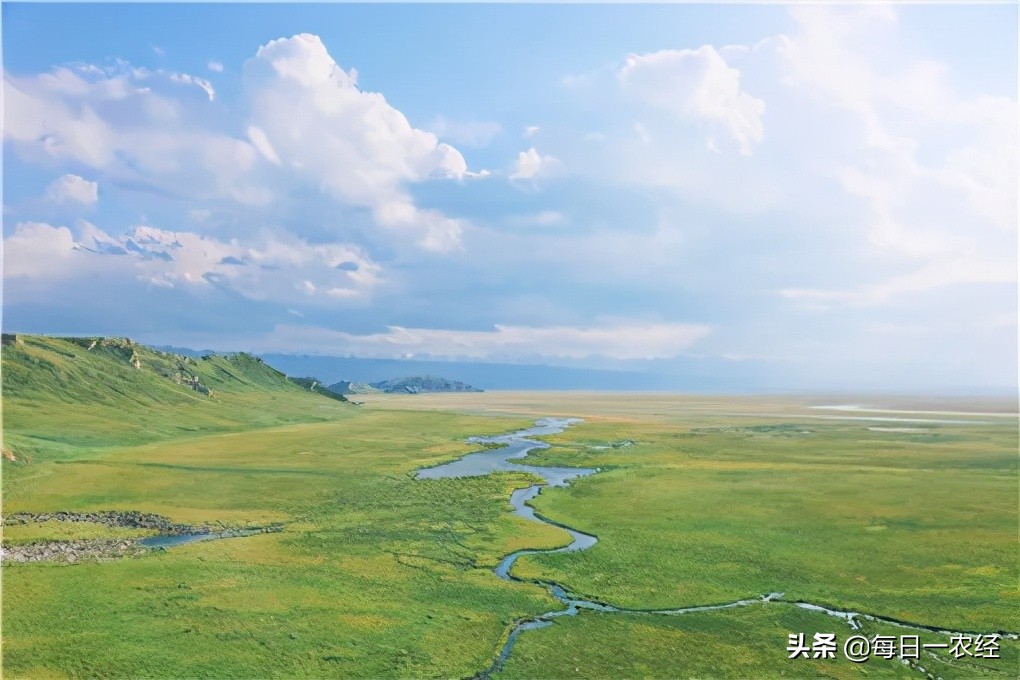 合作社补贴多还是家庭农场补贴多,农民专业合作社有什么补贴政策