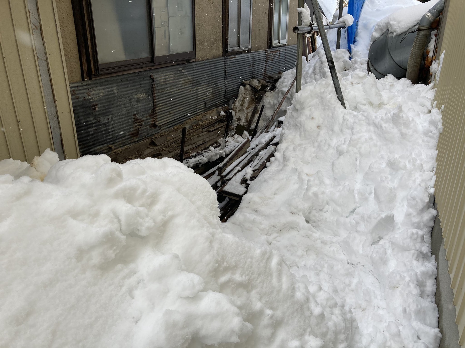 猫咪被困通风井六天救出来,猫咪被困男孩踮脚救助