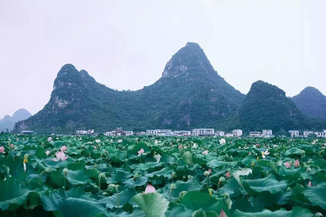 广西有座小城,广西的一座小县城