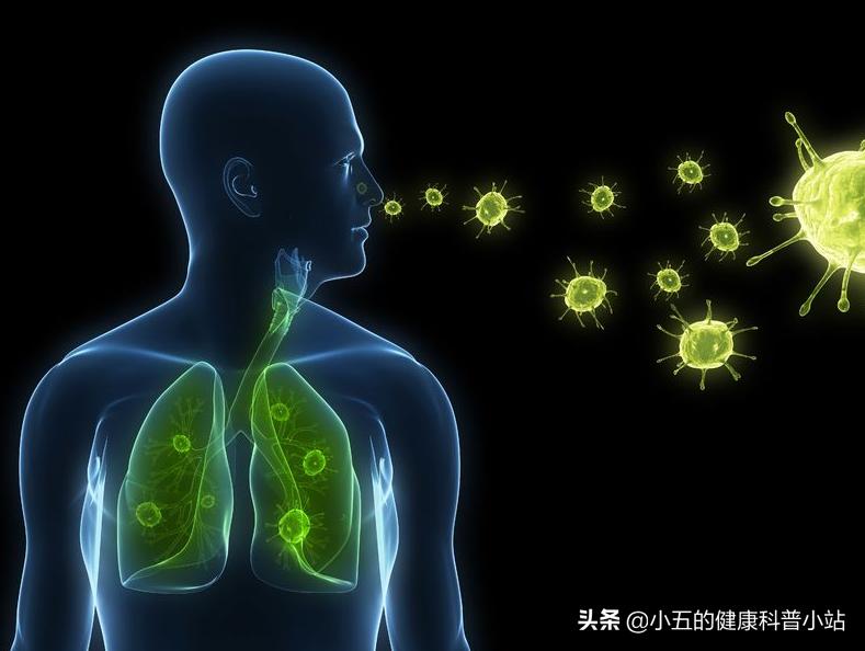 心衰患者如何保护肾,慢性心衰患者需要吃补心脏的药吗