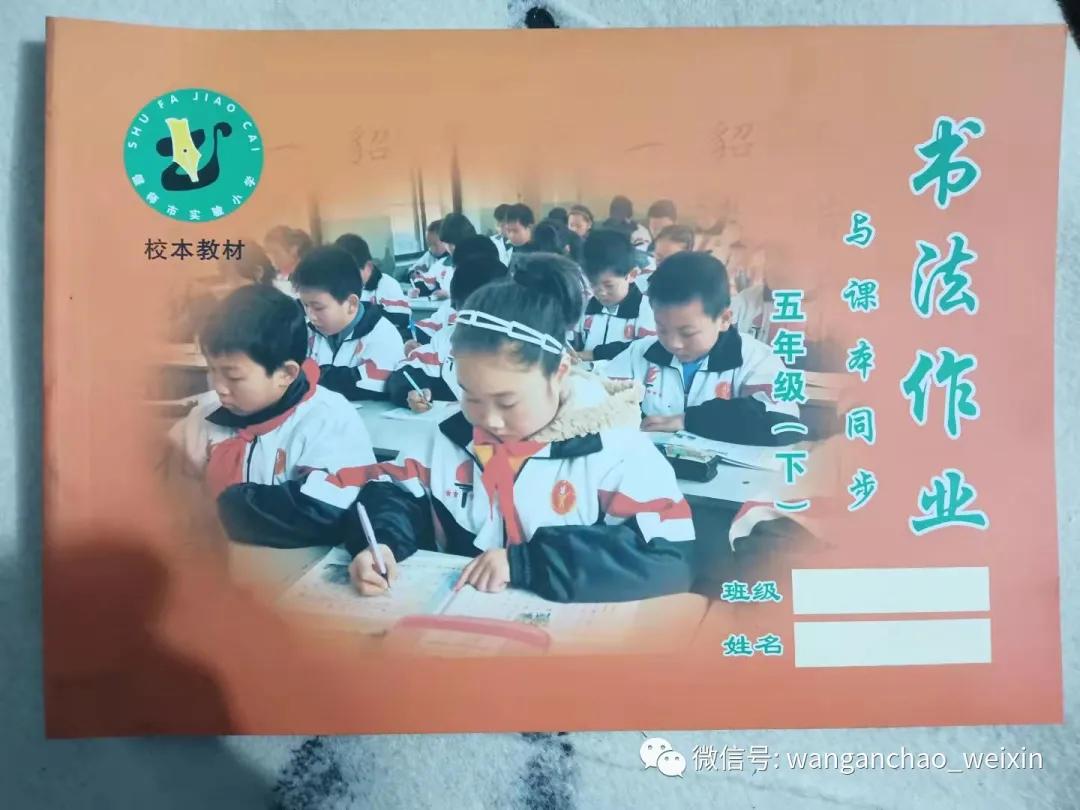 偃师翟镇段振邦:他教出了近千位画画精英