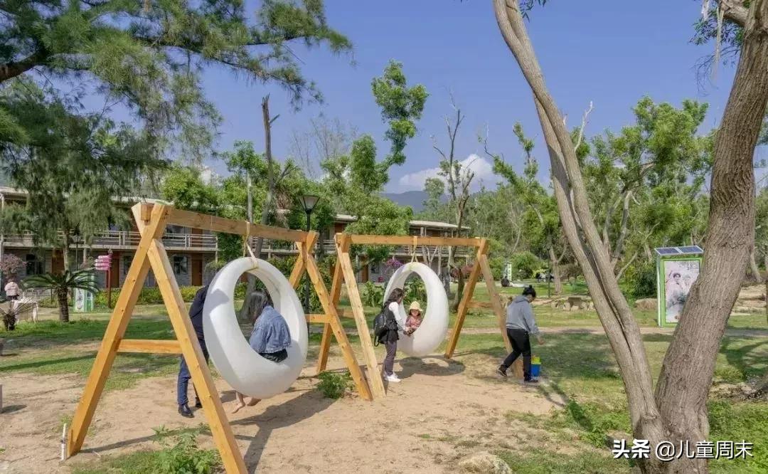 藏不住了深圳小众秘境免费邂逅,藏不住了打卡地