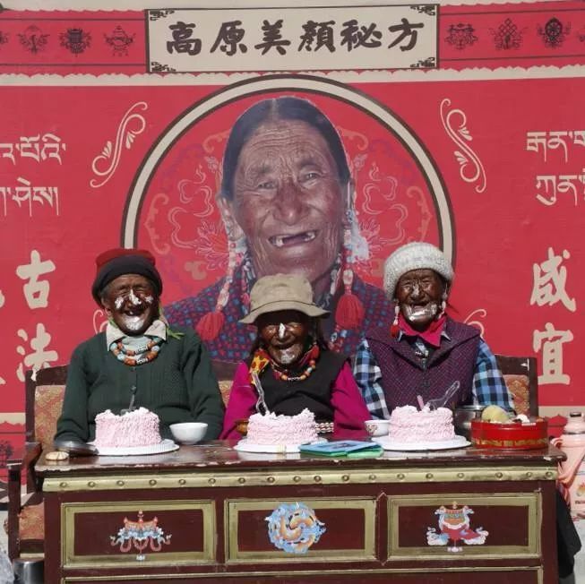 极地大型纪录片,纪录片极地生灵