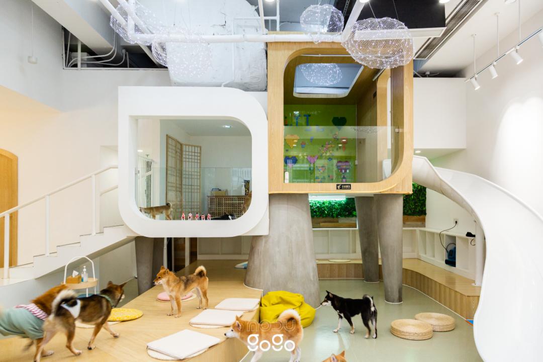 十一长假逛百大名品,十一假期旅游需要多少钱