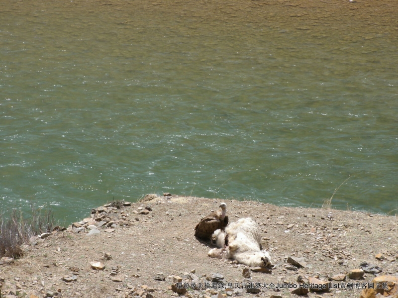 第2032回：甘孜卡子拉山骑行，理塘雅砻江新都桥