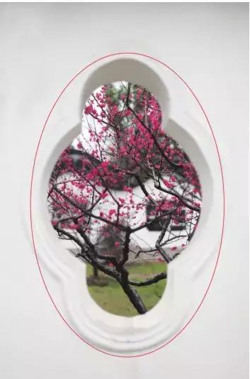 拍摄花卉视频如何构图好看,美术简单花卉图画构图简单