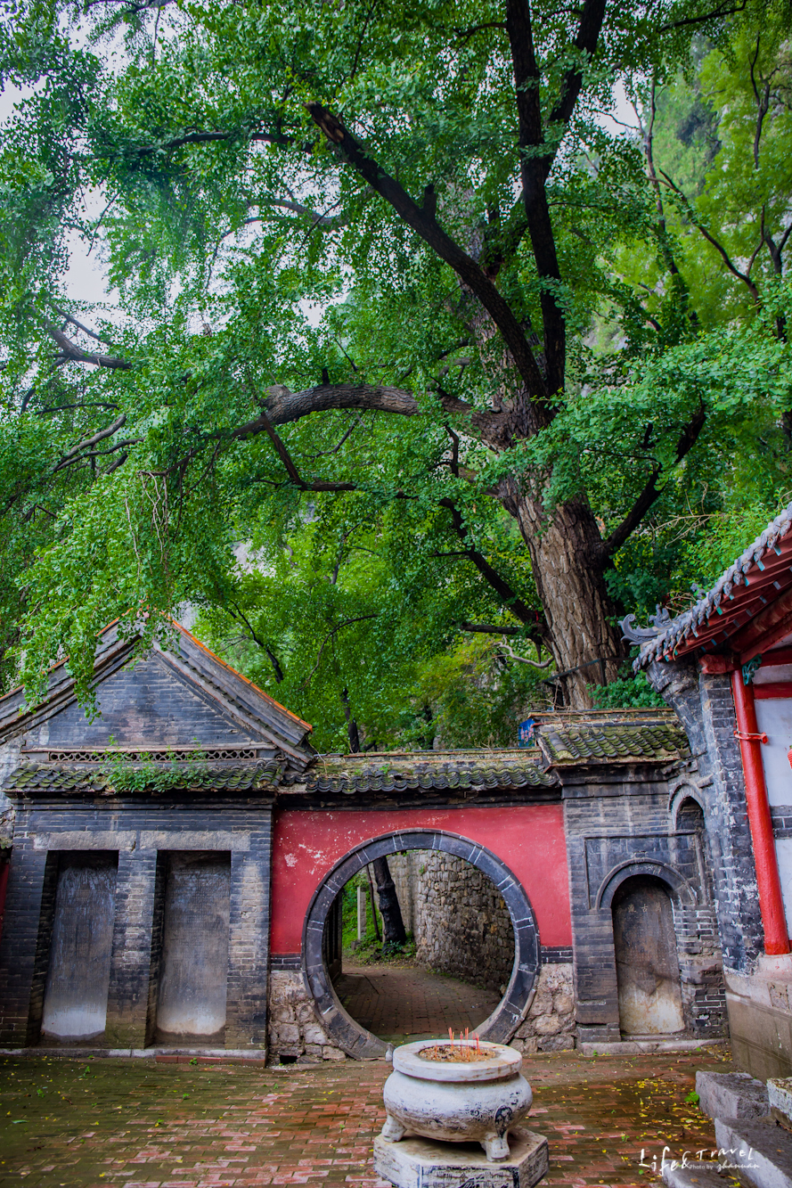 淄博看红叶的免费景点,淄博看红叶不用爬山的免费景区