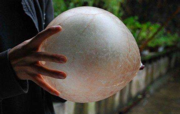 蹴鞠的发展史,蹴鞠的演变过程