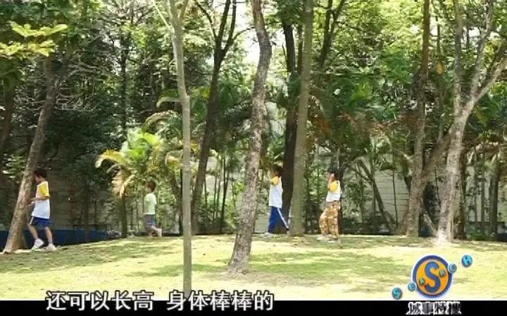 广州陈田花园景观图,广州陈田花园简介