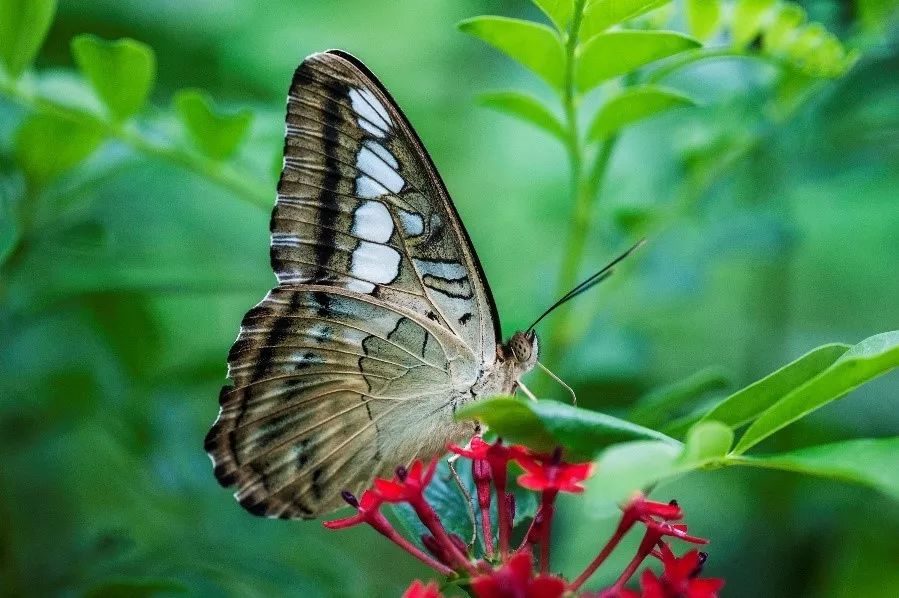 世界最贵酒店一晚460万,广东最贵别墅度假村